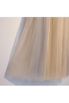 Long Tulle Light Champagne Aline Prom Dress With Tulle Sleeves - MYS69054