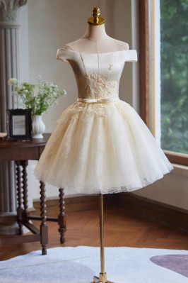Champagne Homecoming Dress...