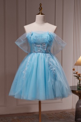 Blue Appliqué Tulle Short...