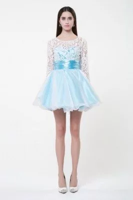 Lace Long Sleeve Short Prom Dress