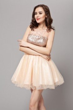 Sequin Lace And Tulle Short Prom Dress