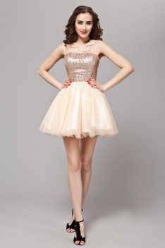Sequin Lace And Tulle Short Prom Dress - DK103