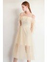 Fairy Aline Champagne Tulle Party Dress Sheer Neck With Sleeves - HTX97051
